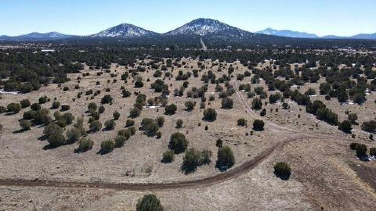 Picture of Residential Land For Sale in Williams, Arizona, United States