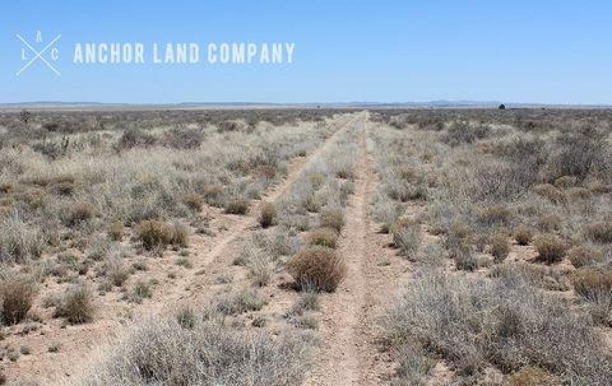 Picture of Residential Land For Sale in Moriarty, New Mexico, United States