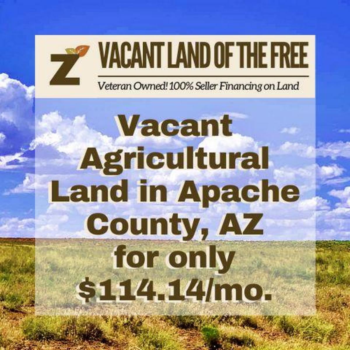 Picture of Residential Land For Sale in Holbrook, Arizona, United States
