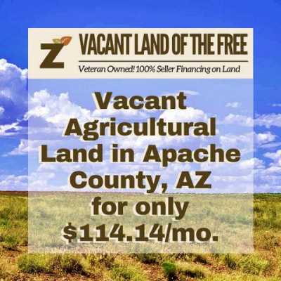 Residential Land For Sale in Holbrook, Arizona