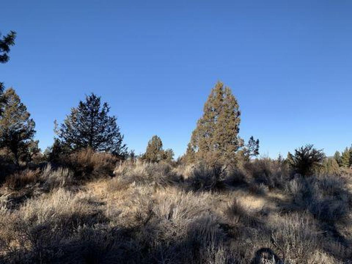 Picture of Residential Land For Sale in Chiloquin, Oregon, United States