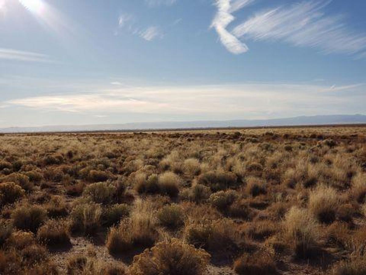 Picture of Residential Land For Sale in Blanca, Colorado, United States