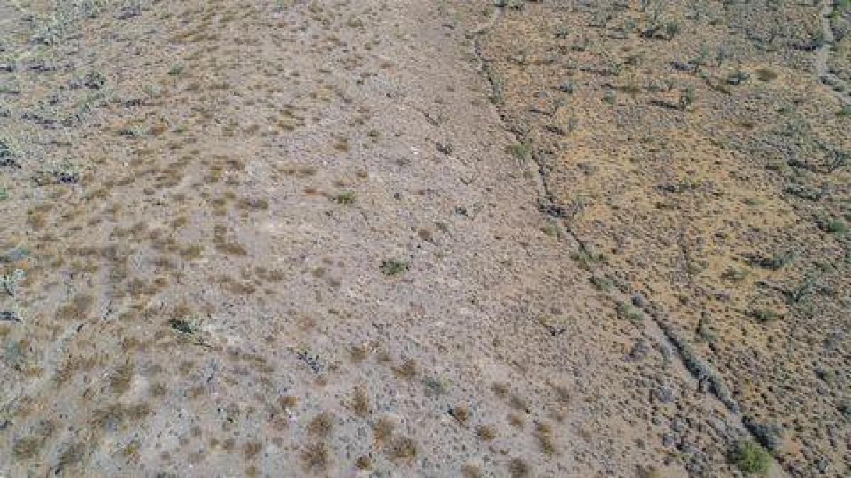 Picture of Residential Land For Sale in Dolan Springs, Arizona, United States