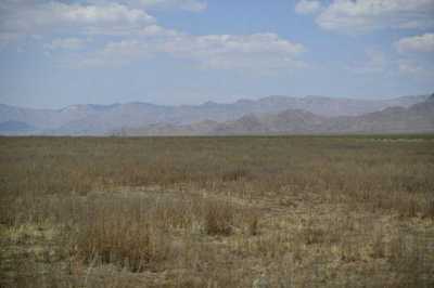 Residential Land For Sale in Hackberry, Arizona