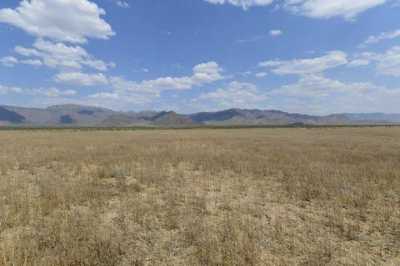 Residential Land For Sale in Hackberry, Arizona