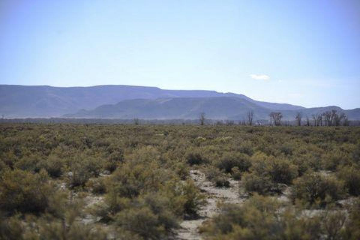 Picture of Residential Land For Sale in San Luis, Colorado, United States