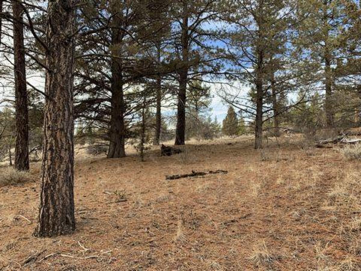 Picture of Residential Land For Sale in Chiloquin, Oregon, United States