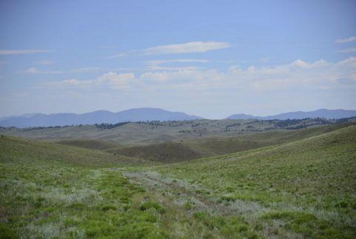 Picture of Residential Land For Sale in Fairplay, Colorado, United States