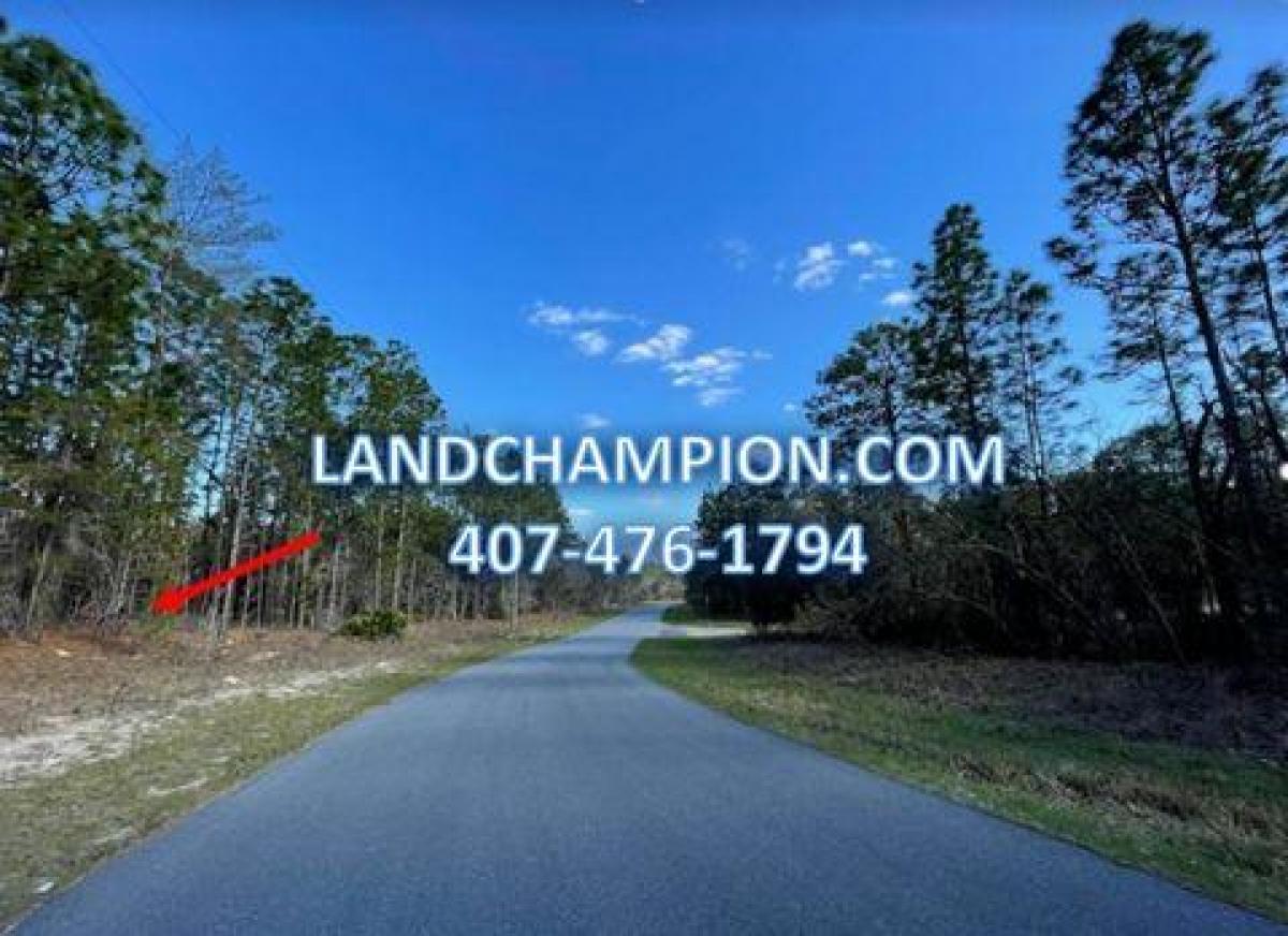 Picture of Residential Land For Sale in Citrus Springs, Florida, United States