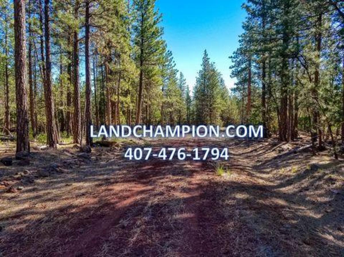 Picture of Residential Land For Sale in Alturas, California, United States
