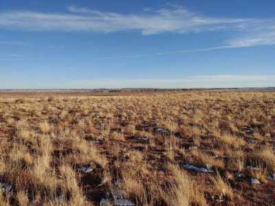 Residential Land For Sale in Holbrook, Arizona