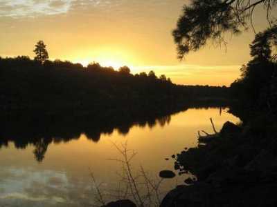 Residential Land For Sale in Show Low, Arizona