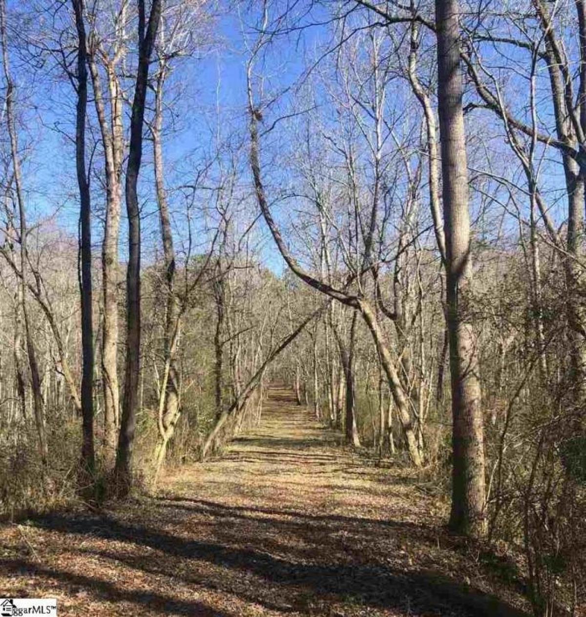 Picture of Residential Land For Sale in Clinton, South Carolina, United States