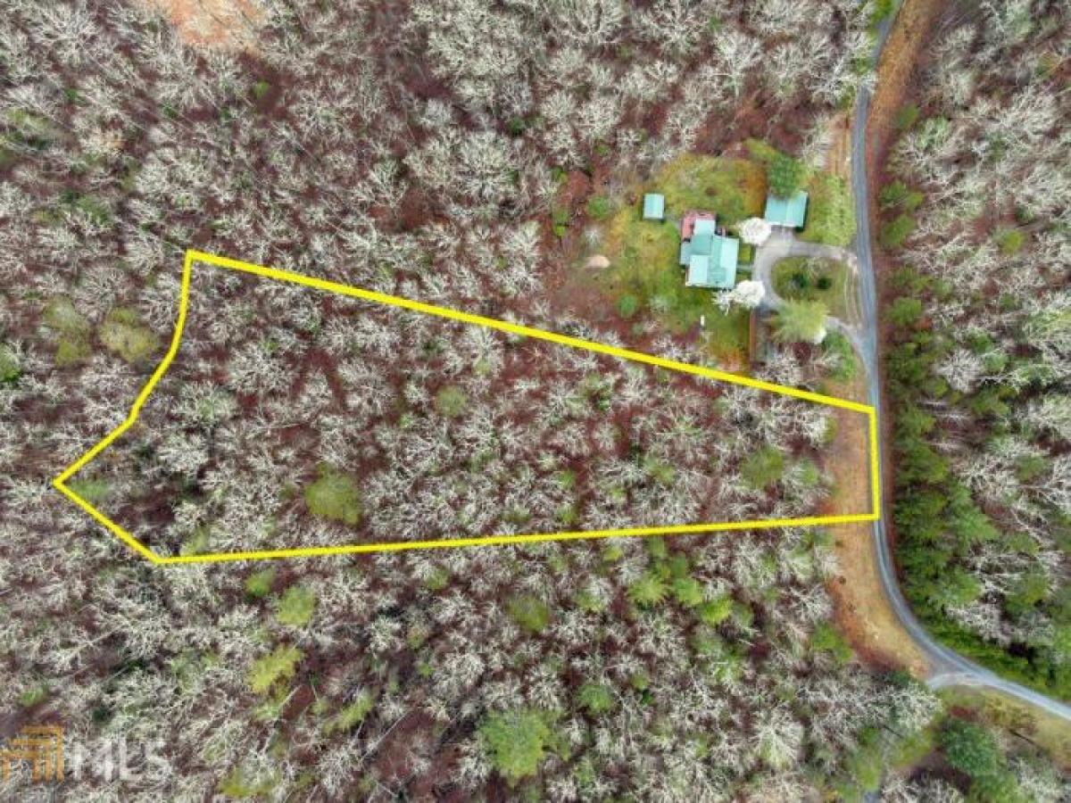 Picture of Residential Land For Sale in Mineral Bluff, Georgia, United States