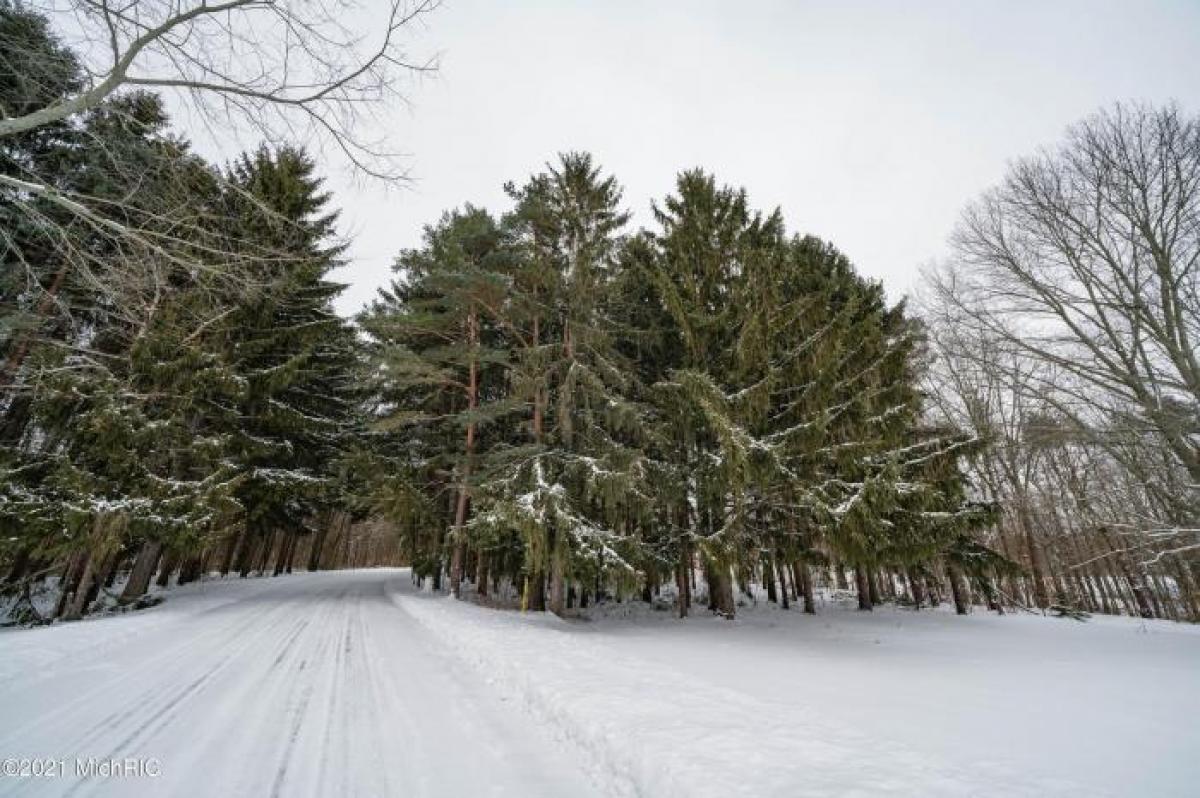 Picture of Residential Land For Sale in Coloma, Michigan, United States