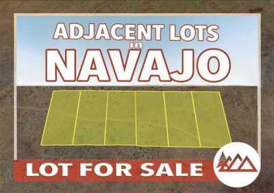 Residential Land For Sale in Holbrook, Arizona