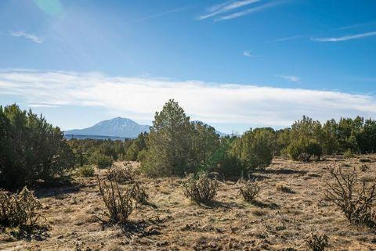 Picture of Residential Land For Sale in Walsenburg, Colorado, United States