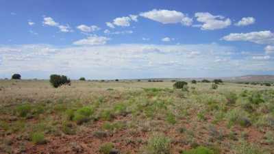 Residential Land For Sale in Concho, Arizona