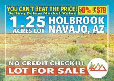 Residential Land For Sale in Holbrook, Arizona