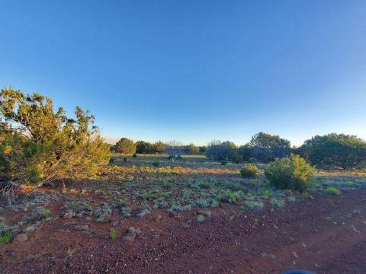 Picture of Residential Land For Sale in Saint Johns, Arizona, United States