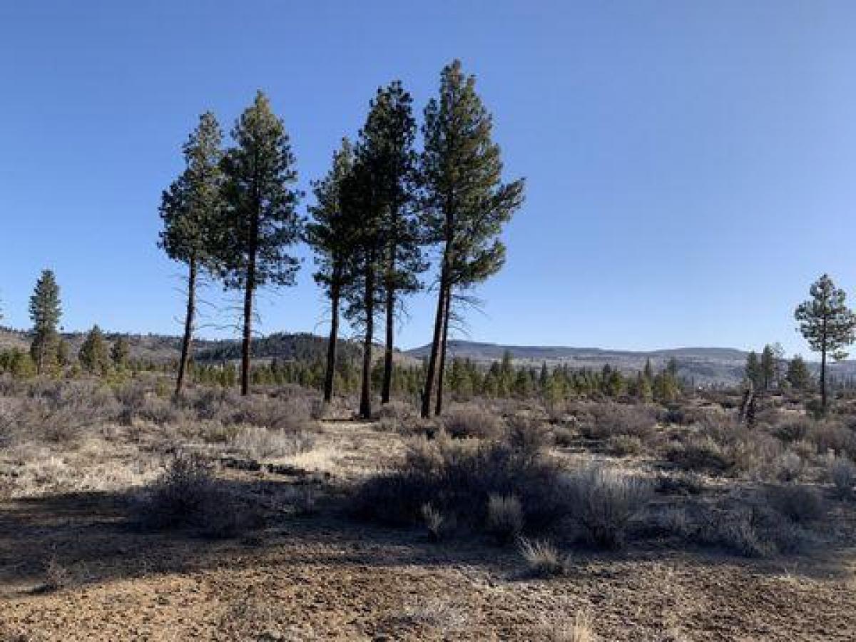 Picture of Residential Land For Sale in Chiloquin, Oregon, United States