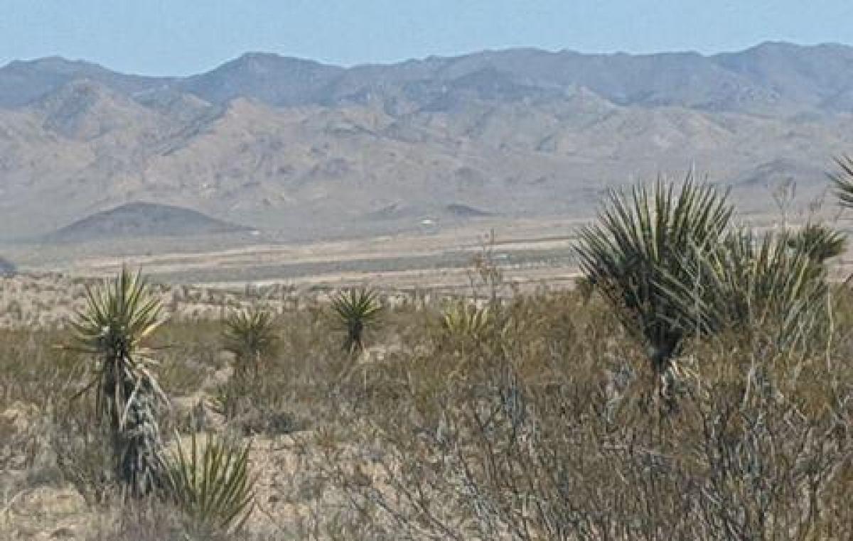 Picture of Residential Land For Sale in Golden Valley, Arizona, United States