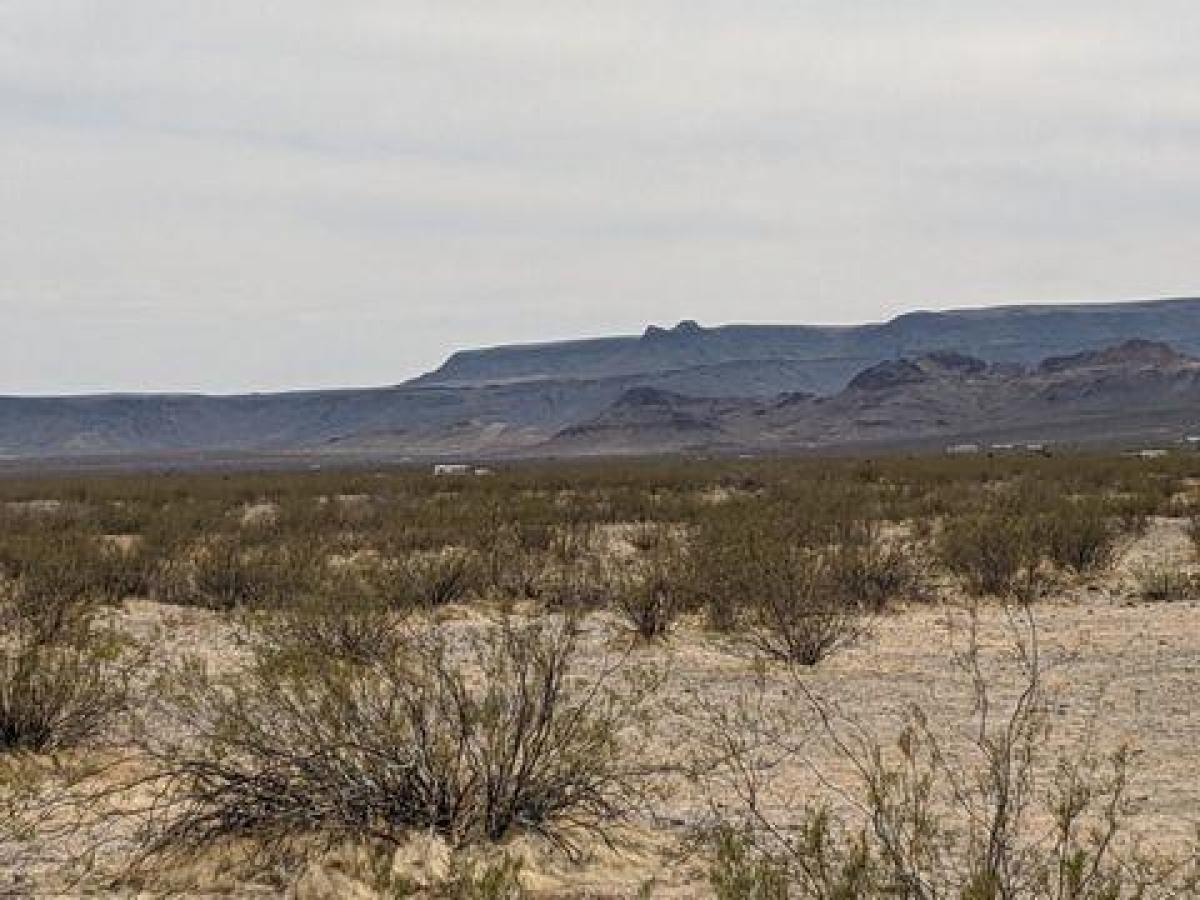 Picture of Residential Land For Sale in Golden Valley, Arizona, United States