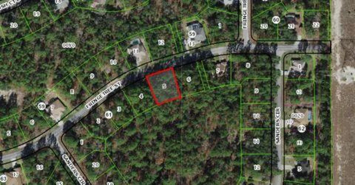Picture of Residential Land For Sale in Homosassa, Florida, United States