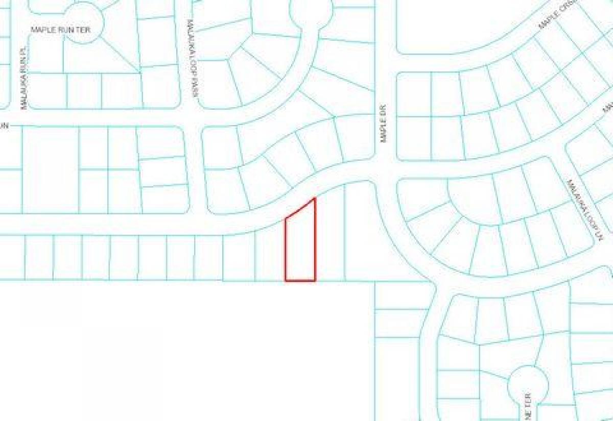 Picture of Residential Land For Sale in Ocklawaha, Florida, United States