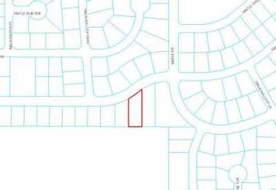 Residential Land For Sale in Ocklawaha, Florida