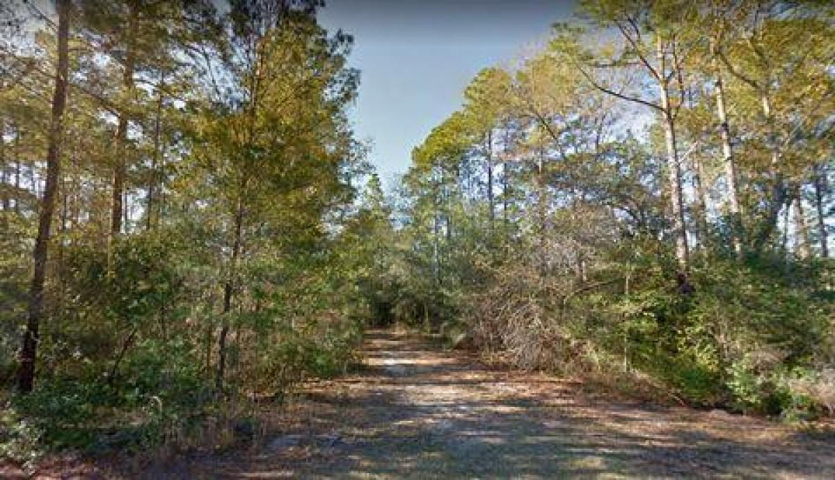 Picture of Residential Land For Sale in Interlachen, Florida, United States