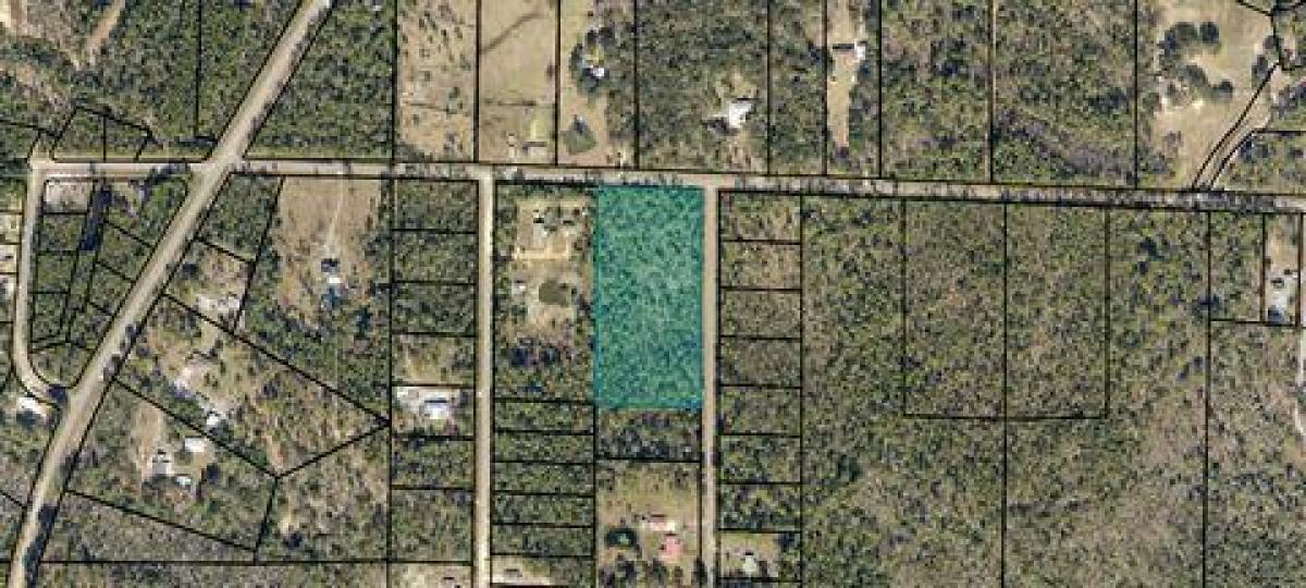 Picture of Residential Land For Sale in Milton, Florida, United States