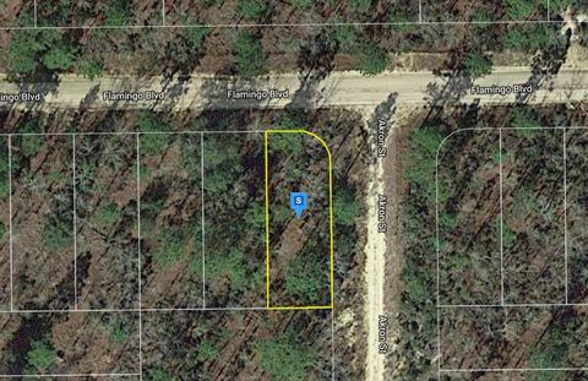 Picture of Residential Land For Sale in Interlachen, Florida, United States