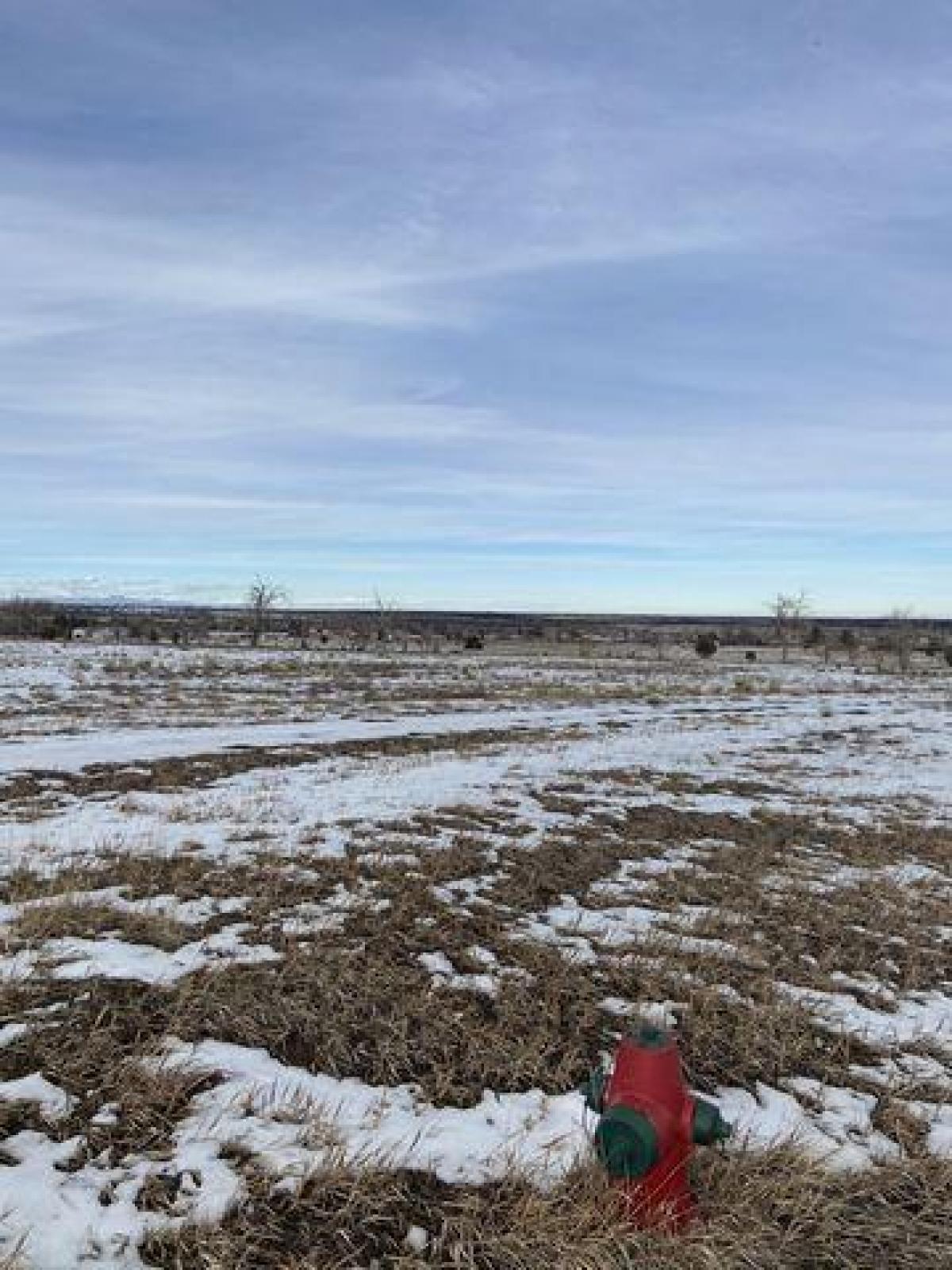 Picture of Residential Land For Sale in Colorado City, Colorado, United States