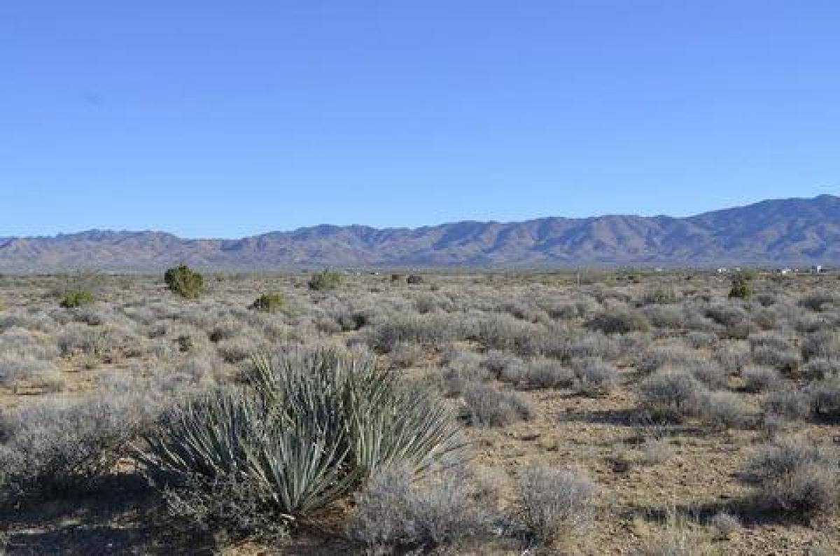 Picture of Residential Land For Sale in Dolan Springs, Arizona, United States