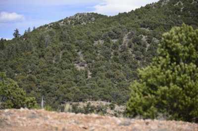 Residential Land For Sale in San Luis, Colorado