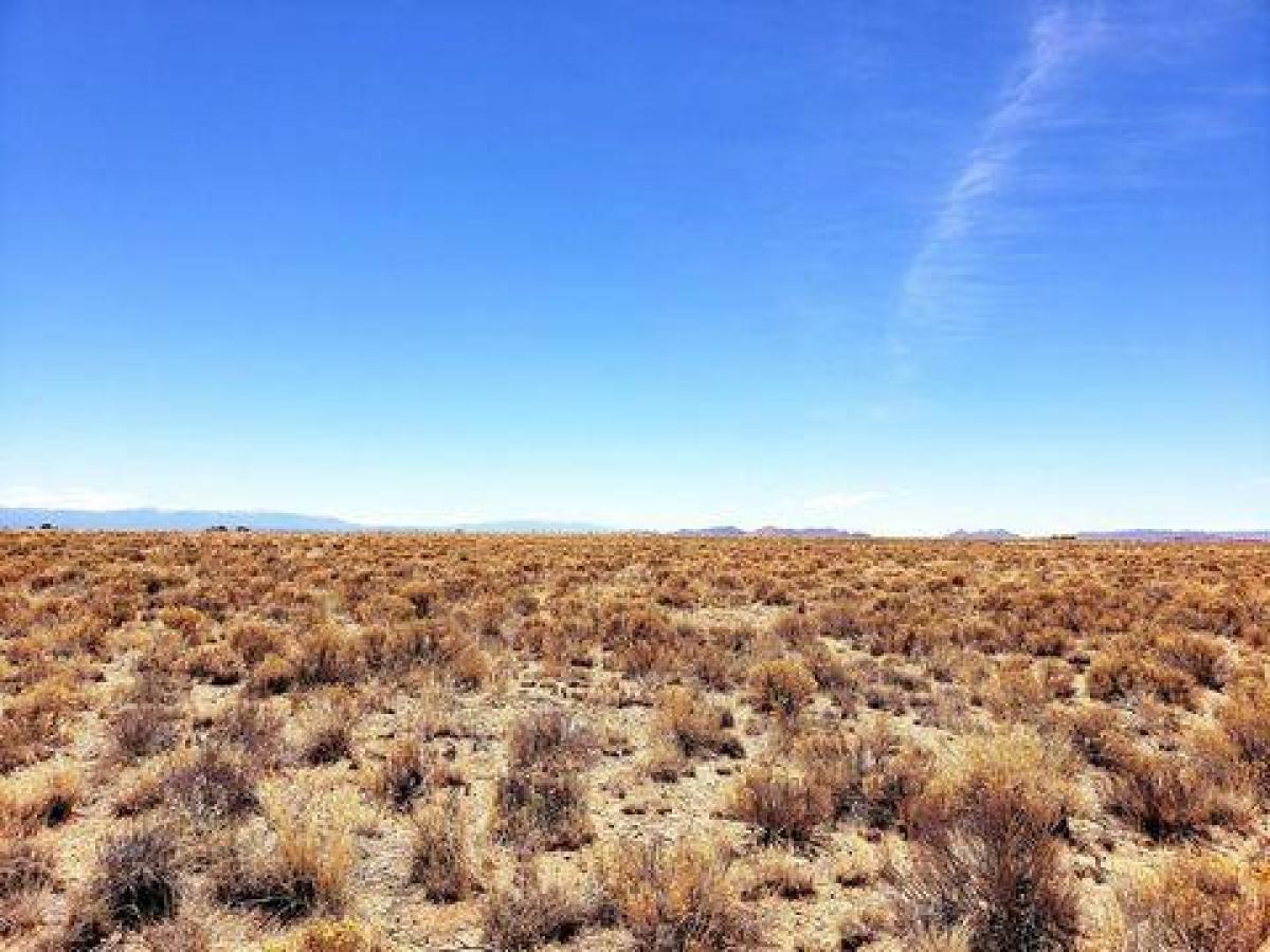 Picture of Residential Land For Sale in Needles, California, United States
