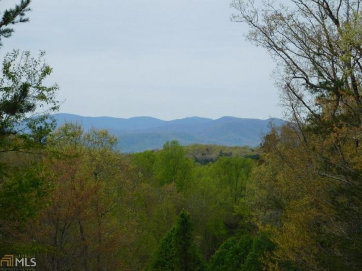 Picture of Residential Land For Sale in Morganton, Georgia, United States