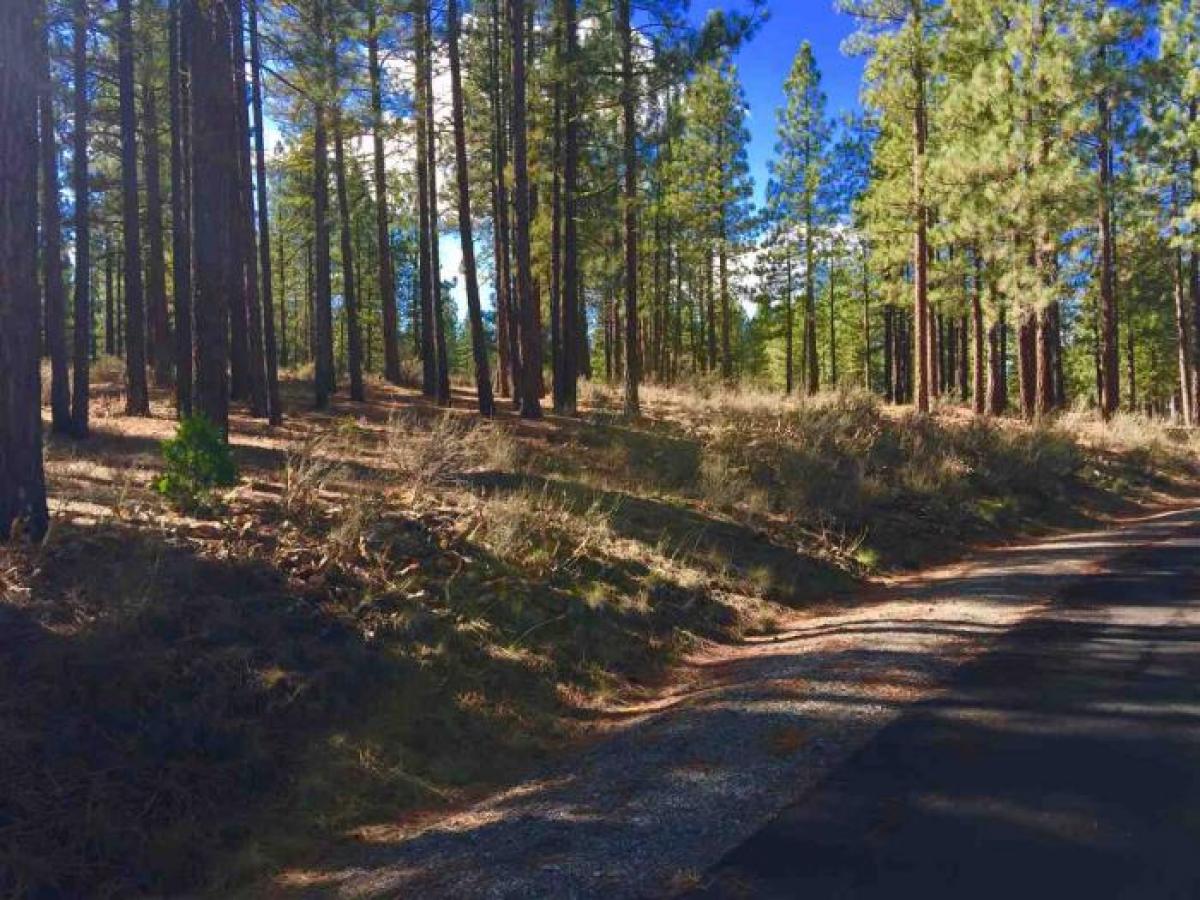 Picture of Residential Land For Sale in Portola, California, United States