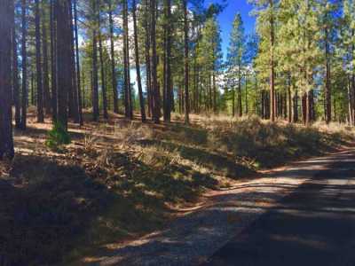 Residential Land For Sale in Portola, California