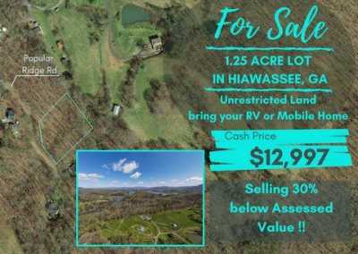 Residential Land For Sale in Hiawassee, Georgia