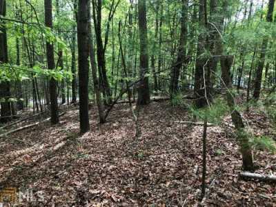 Residential Land For Sale in Mineral Bluff, Georgia