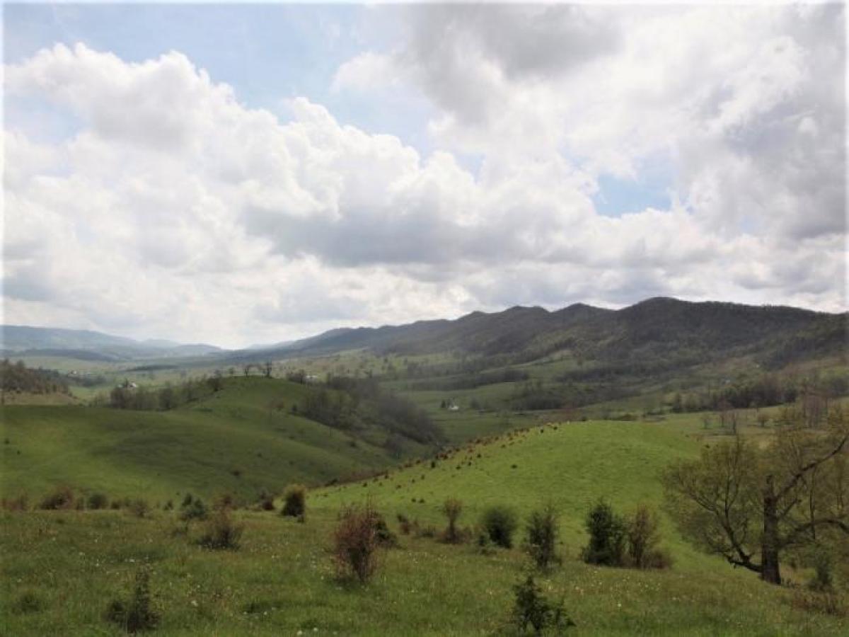 Picture of Home For Sale in Monterey, Virginia, United States