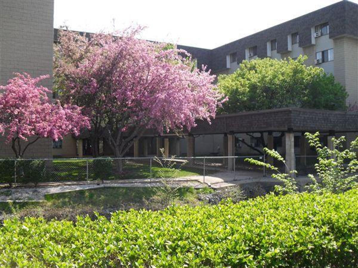 Picture of Apartment For Rent in Davison, Michigan, United States