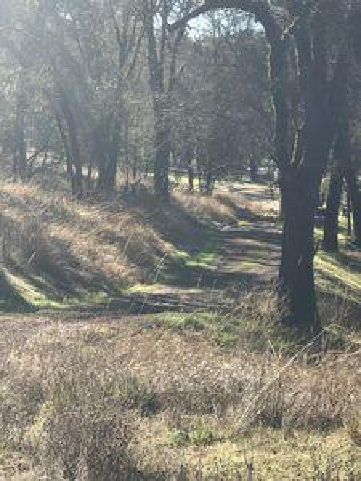 Picture of Home For Sale in Grass Valley, California, United States