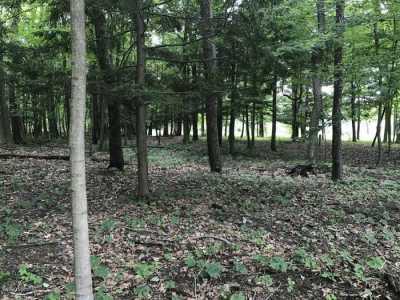 Residential Land For Sale in South Haven, Michigan