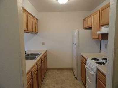 Apartment For Rent in 