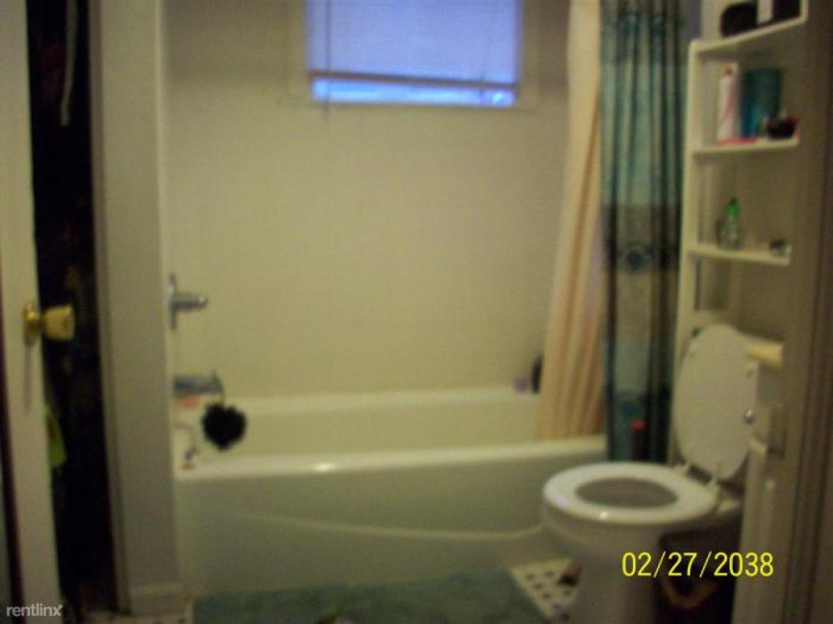 Picture of Home For Rent in Ann Arbor, Michigan, United States