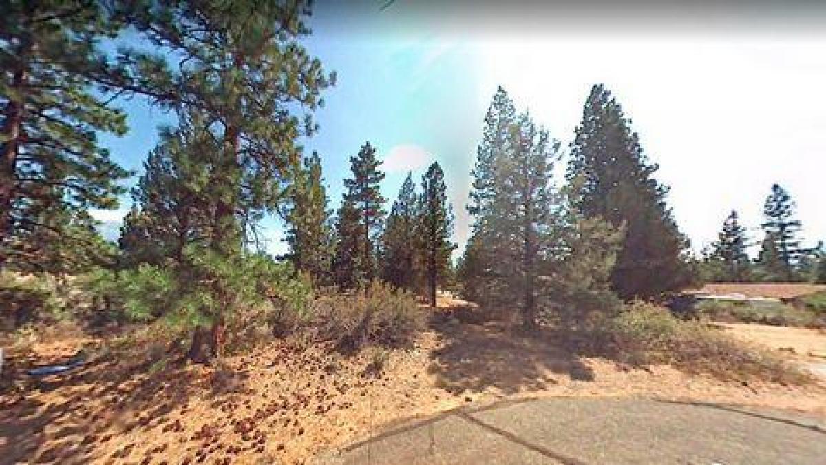 Picture of Residential Land For Sale in Weed, California, United States
