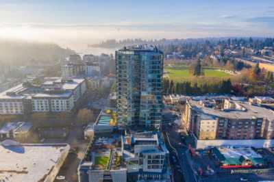 Apartment For Rent in Bellevue, Washington